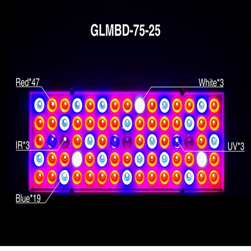 LED Plant  light for  Seedlings In Greenhouses