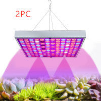 LED Plant  light for  Seedlings In Greenhouses