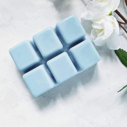 Wax Melt Clamshell Molds - Clear Plastic Trays for Candles & Soap