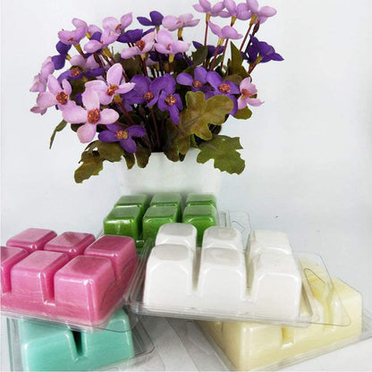 Wax Melt Clamshell Molds - Clear Plastic Trays for Candles & Soap