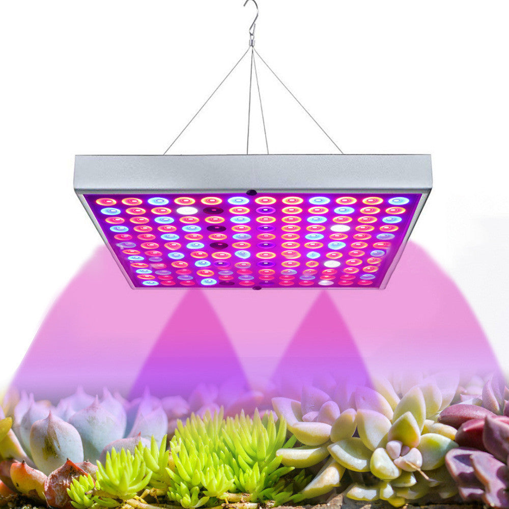 LED Plant  light for  Seedlings In Greenhouses