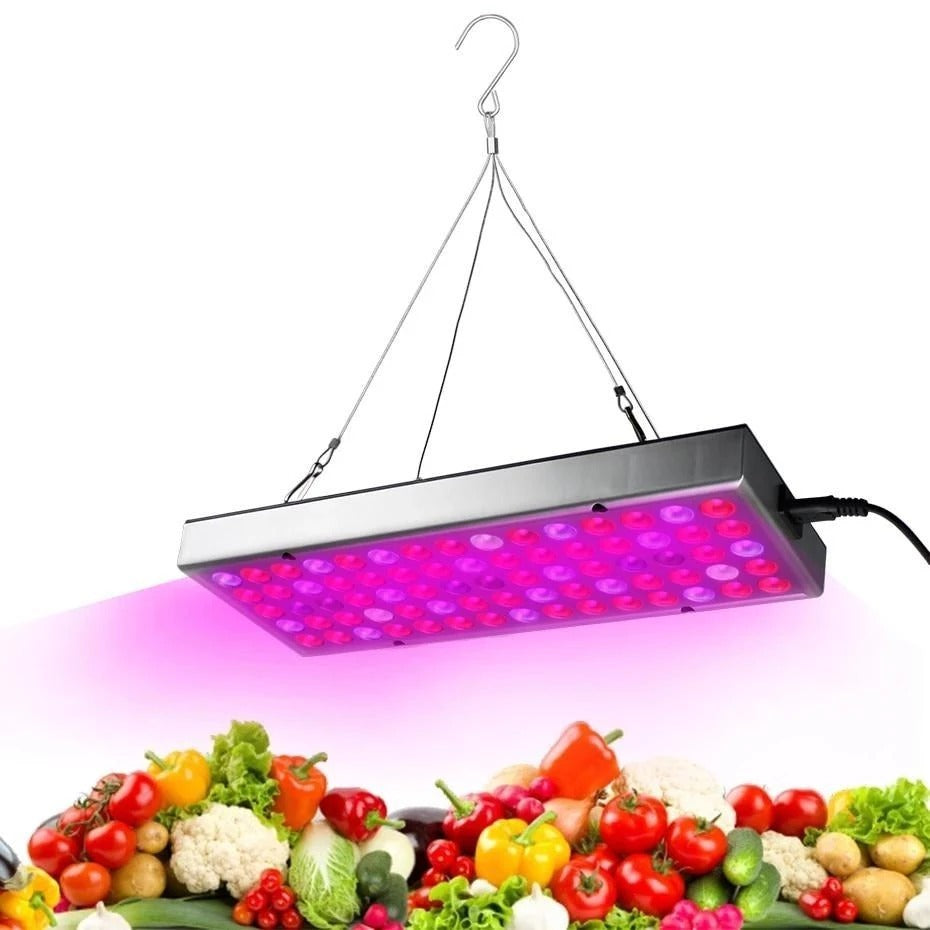 LED Plant  light for  Seedlings In Greenhouses