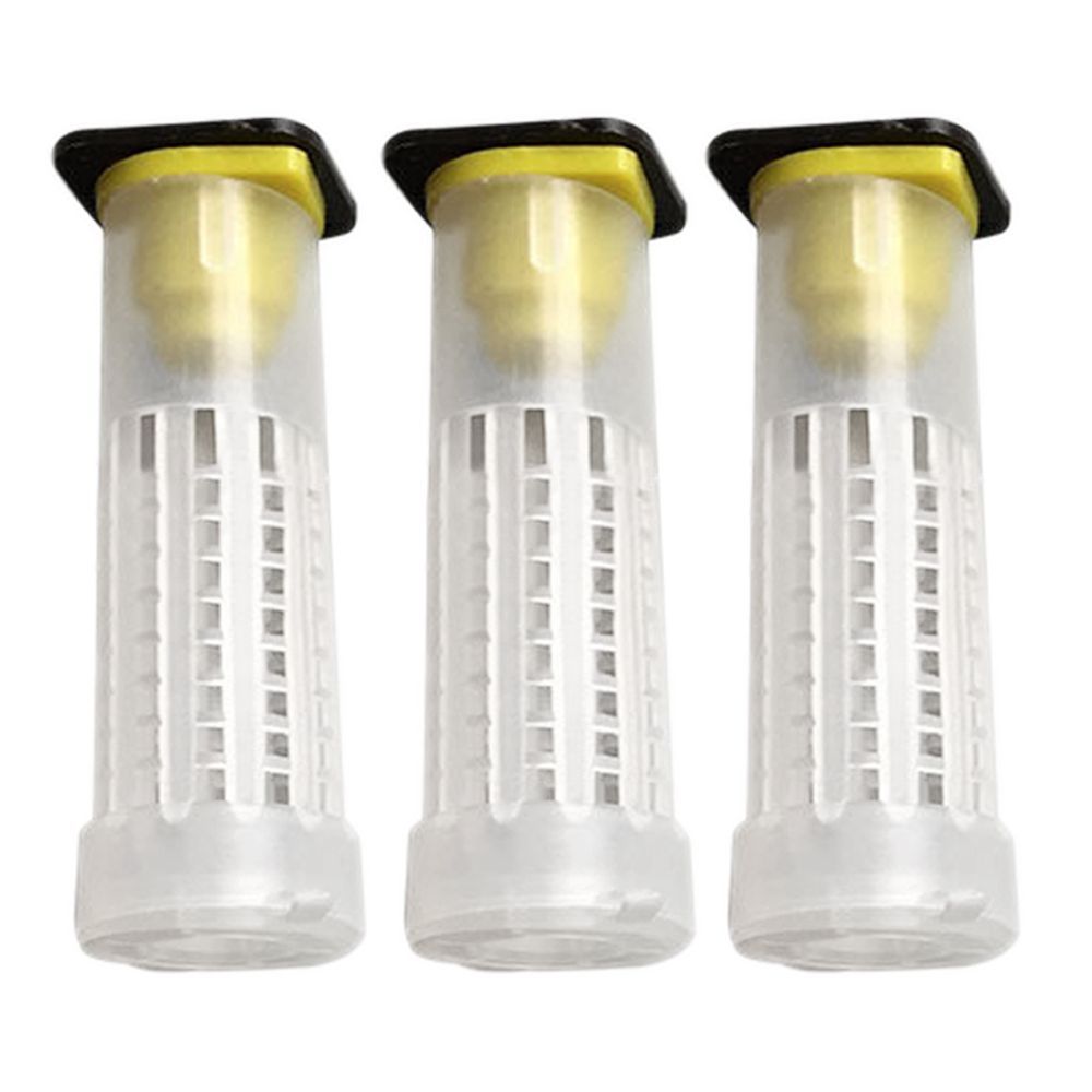 Queen bee breeding system cultivation box