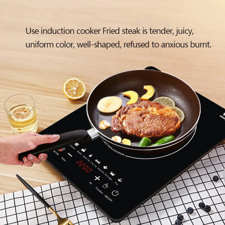 electric Induction Cooker