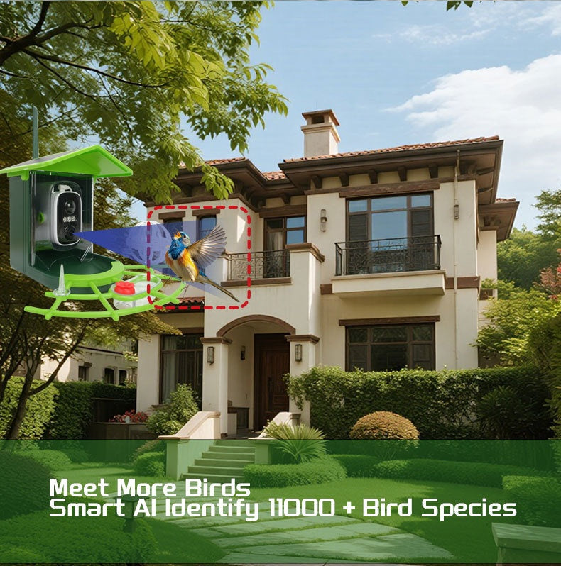 Smart Birdwatching Feeder with Camera – Solar Powered AI Bird Recognition