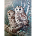 Forest Owl Embroidery Cross Stitch