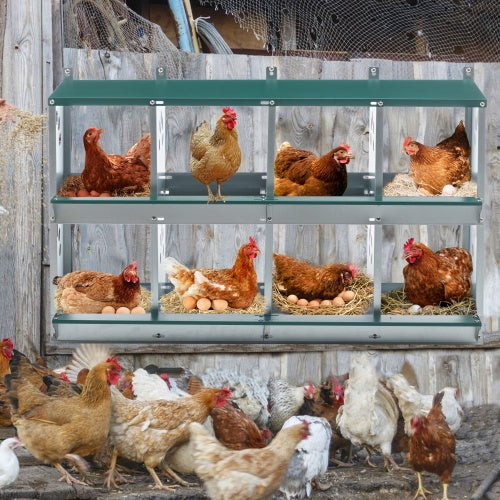 8 Compartment Chicken Nesting Box – Metal Poultry Nest Box for Hens