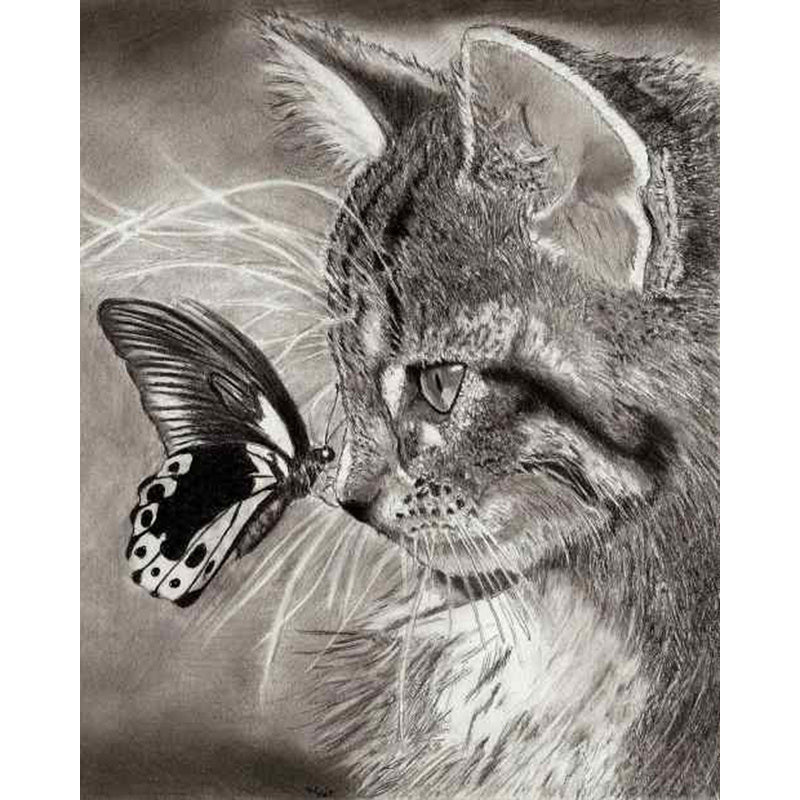 Diamond Cat And Butterfly Embroidery Kit Resin Cross Stitch DIY Craft Hobby