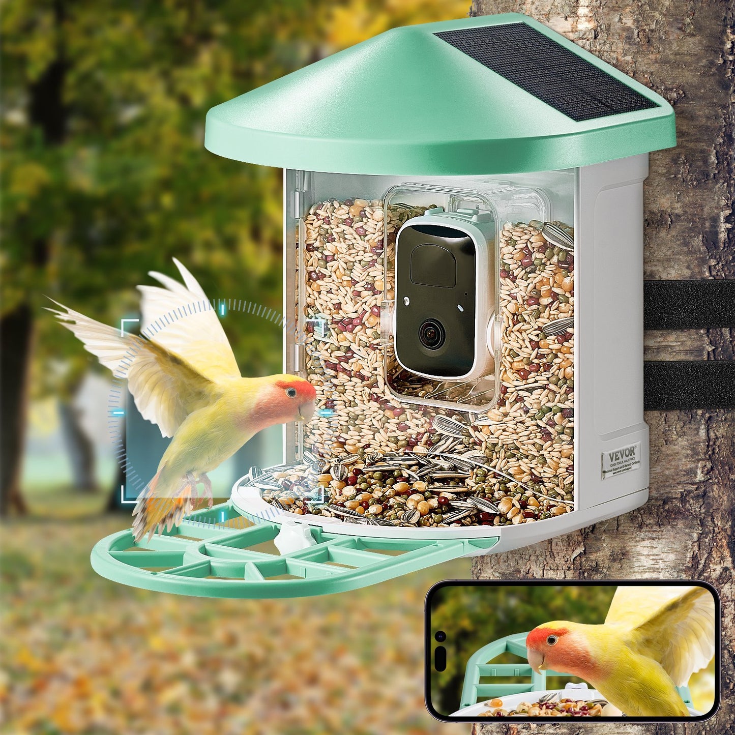 The Ultimate Bird Watching Gift | 2K HD Camera Feeder with AI Species Recognition & Solar Power