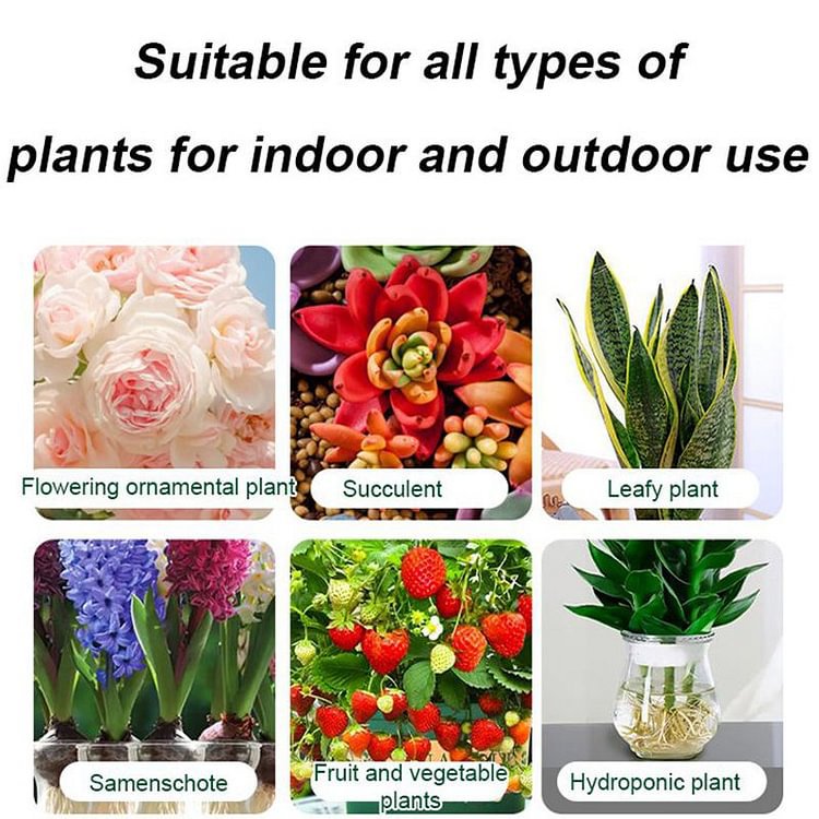 Rapid Root Growth Fertilizer | Plant Nutrient Solution 50ml