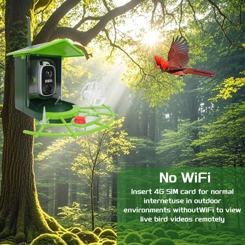 Smart Birdwatching Feeder with Camera – Solar Powered AI Bird Recognition