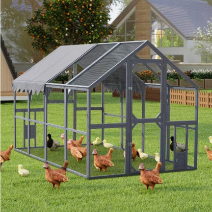 Spacious and durable chicken enclosure for secure and comfortable chicken keeping in the backyard