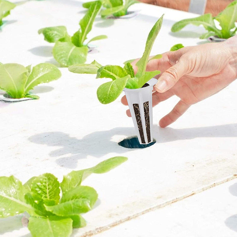 Sheila Merchandise growing basket used for easy hydroponic gardening with green leafy plants