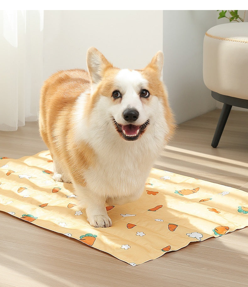 Corgi standing on a yellow dog cooling gel pad with carrot patterns in a bright room