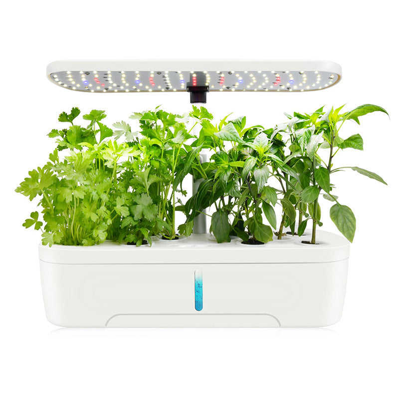 Sheila Merchandise grow your own vegetables LED indoor garden kit with healthy green plants
