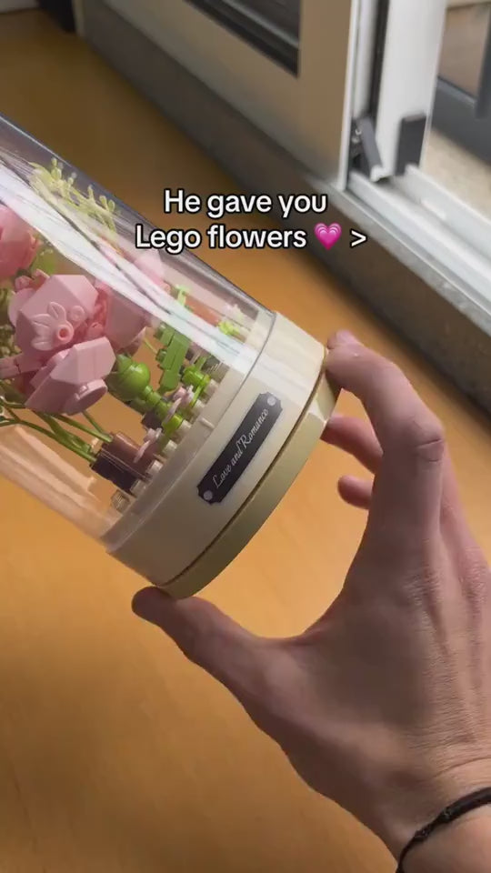 1.mp4
